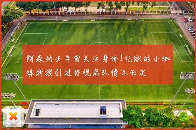 阿森纳去年曾关注身价1亿欧的小蜘蛛新援引进将视离队情况而定