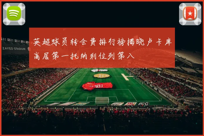 英超球员转会费排行榜揭晓卢卡库高居第一托纳利位列第八
